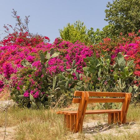Tal Shahar Zimmers المظهر الخارجي الصورة