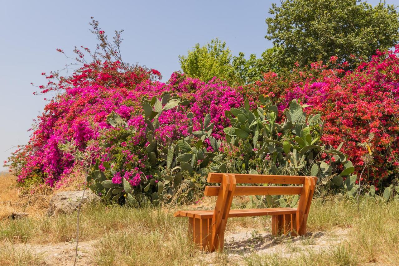 Tal Shahar Zimmers المظهر الخارجي الصورة