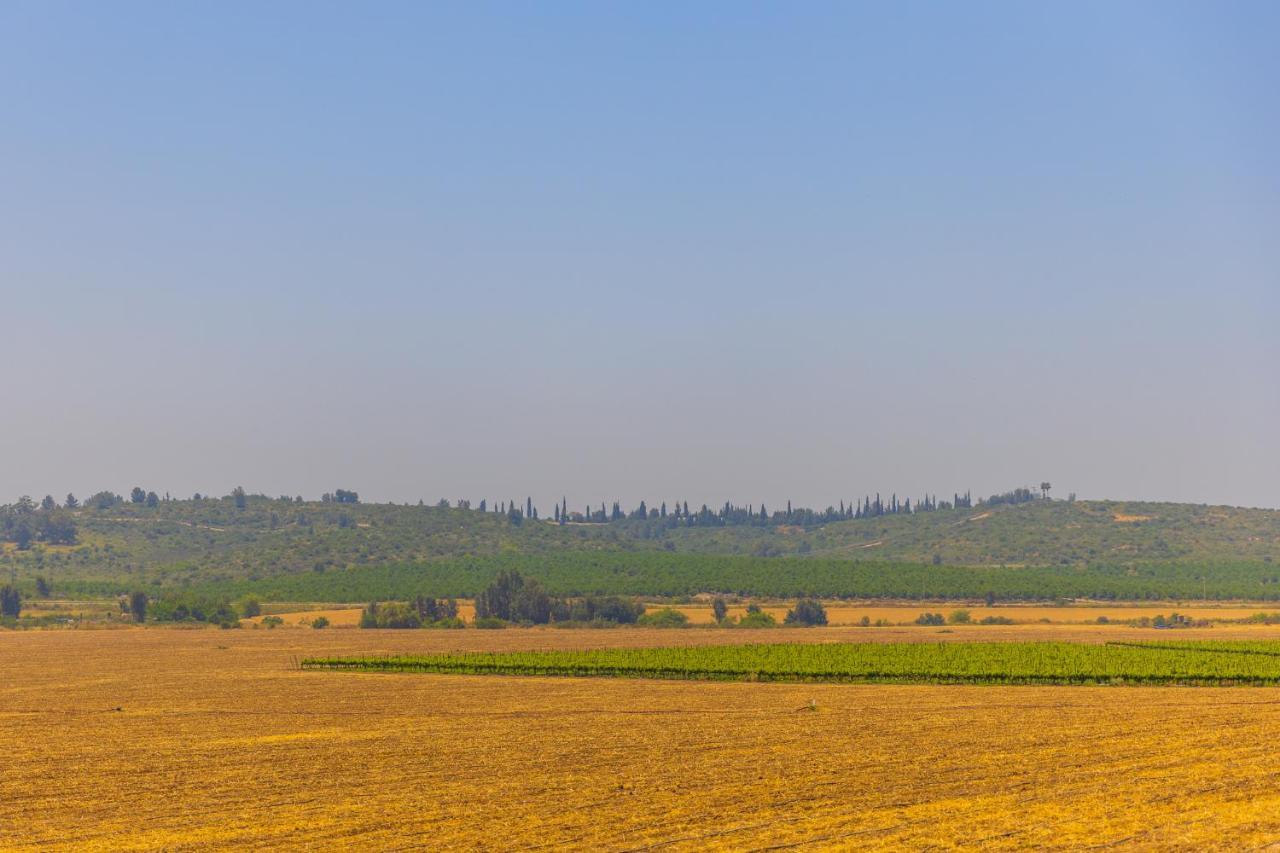 Tal Shahar Zimmers المظهر الخارجي الصورة